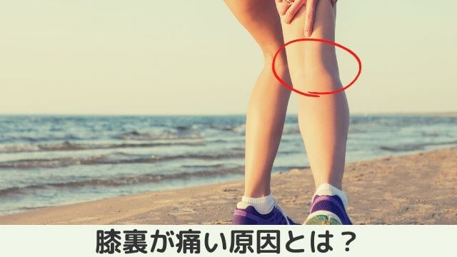 膝裏を伸ばす、しゃがむと痛い原因とは？